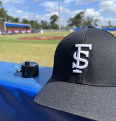 FSS generates millions in economic impact for Houston